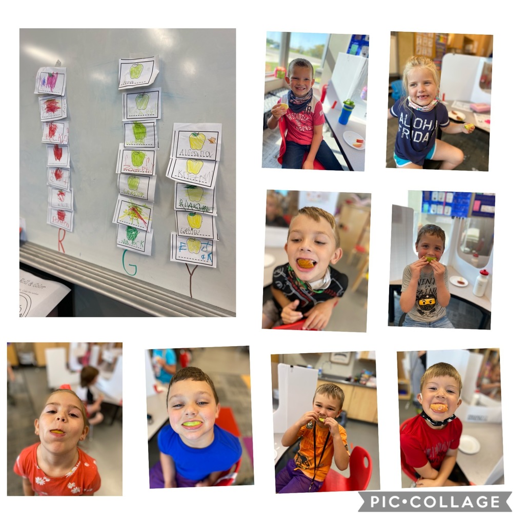 CESHornets's tweet photo. Kindergarten explored all things apples today---including apple tasting! #learningtogether #ceslearns #ceshornets #hornetsr2 https://t.co/JbPZ9KAgYc