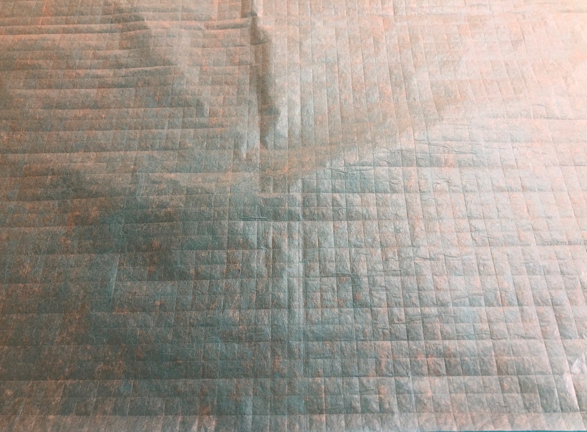 LiminalVesper's tweet photo. This is my official #origami #Scutigera thread. I made a small update to the crease pattern on Sep. 6, and I’m currently 2:45:00 in. The 64 grid is finished, so now I get to add the diagonals.
Each of these squares is about 7mm across, and I have to divide them all in half. https://t.co/tSuvob0JQ7