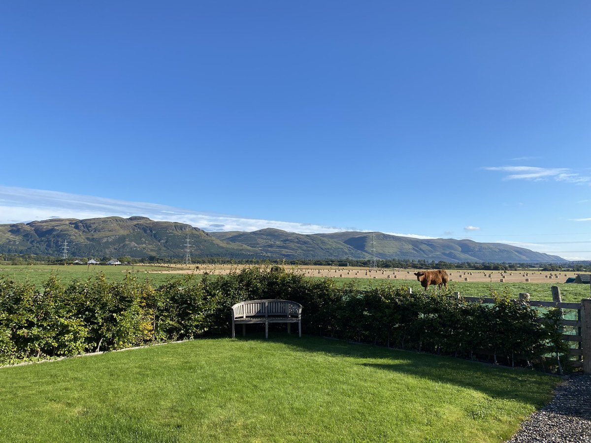 Lovely sunny view yesterday from Partridge Cottage. A great place to come to chill out and relax away from everything apart from the cows! @GoRuralScotland #ochilhills #limousincows