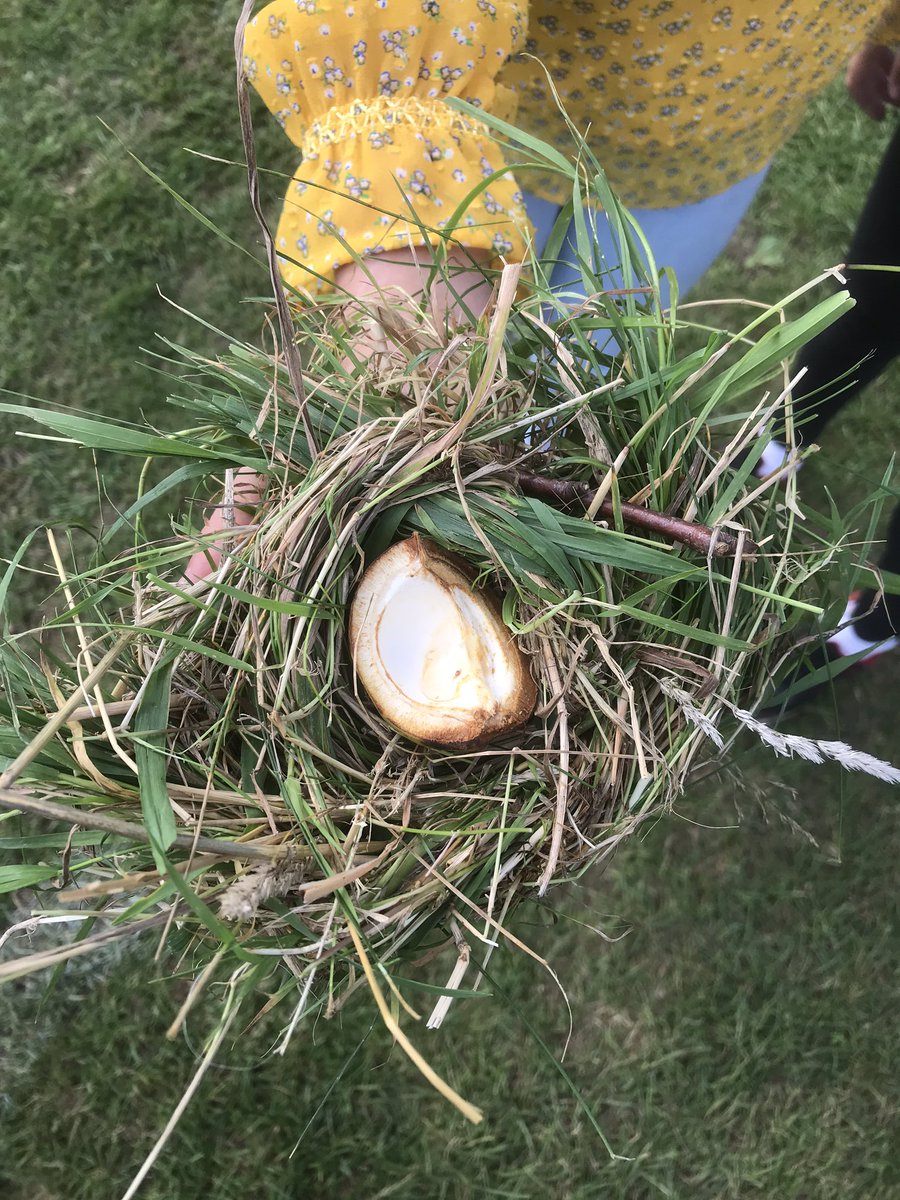 The children were really proud of this birds nest that they made from grass, complete with conker case ‘egg shell’ #creative #playmatters <a href="/OPAL_CIC/">Outdoor Play and Learning (OPAL) CIC</a> #opalschools <a href="/BlueCoatPrimary/">Blue Coat Primary</a>