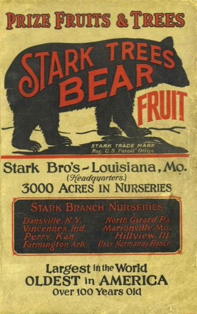 As persistent as his little apple tree, Hiatt entered his apple in the International New Fruit Fair, where it caught the eyes of Mr. Stark, America's leading fruit man. Taking a bite, he said to himself "My! That's Delicious!"
