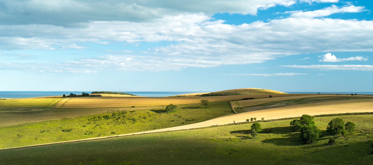 South Downs with its humpback hills