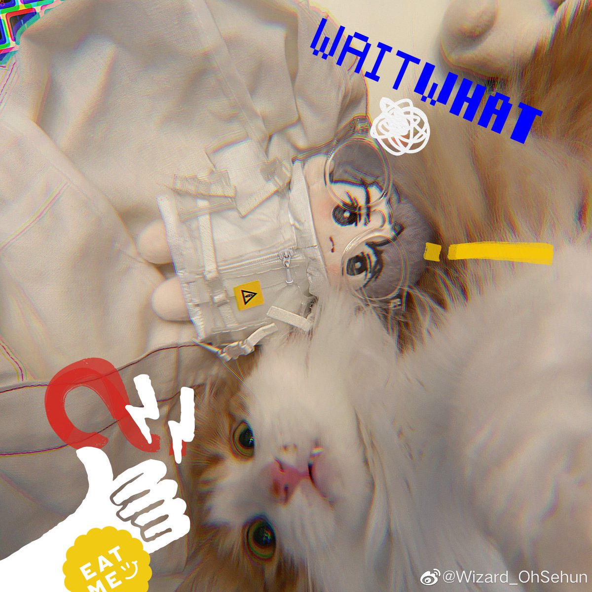 👉WindBomb Sehun got his cat issue fixed>< 💣💨🐈

#세훈 #吴世勋 #SEHUN #exodoll #sehundoll #세훈인형 #엑소인형