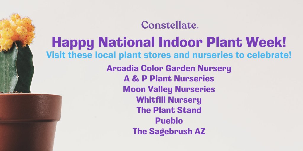 Constellate_AZ's tweet photo. #HappyInternationalIndoorPlantWeek! Check out these locally owned nurseries and pick up some plants for your friends, coworkers and self ;) https://t.co/vSQDQn9CuL
