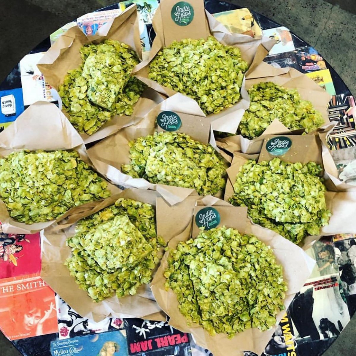 SD Brewers Guild (@sdbrewers) on Twitter photo A building block of #SDBeer - HOPS! #Hops help keep beer fresher, longer; help beer retain its head of foam; and, of course, add “hoppy” aroma, flavor, and bitterness. We wish your phone screen had a scratch & sniff 🤤
#📷 <a href="/AmplifiedAles/">Amplified Ale Works</a> A building block of #SDBeer - HOPS! #Hops help keep beer fresher, longer; help beer retain its head of foam; and, of course, add “hoppy” aroma, flavor, and bitterness. We wish your phone screen had a scratch & sniff 🤤
#📷 <a href="/AmplifiedAles/">Amplified Ale Works</a>