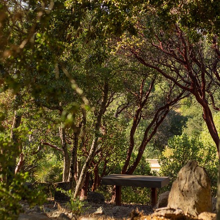 Find some time each day with no input...no cell phone, no television, no other people.  Listen to your Inner Voice.  How much time is spent daily doing what truly matters to YOU?