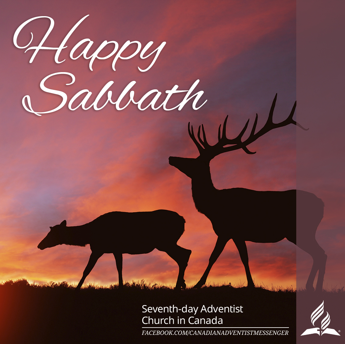 Happy Sabbath from Canadian Adventist Messenger!

LIKE and SHARE if you celebrate the Seventh-day Sabbath. Where are you celebrating Sabbath?

#HappySabbath #CanadianAdventistMessenger