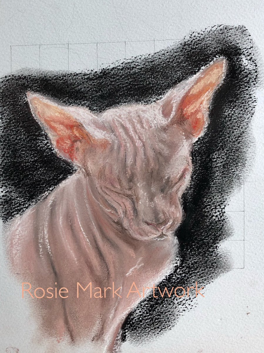 ‘Sphinx’ for #colour_collective #sweetpink @Clr_Collective #sphinxcat #caturday #CatsOfTwitter #pastelart #cat #gato #feline #FelineFriday