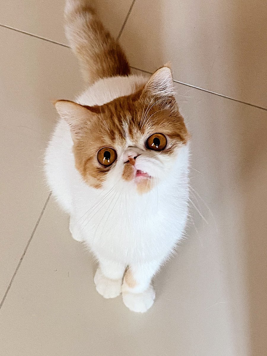Çaki🥺❤️