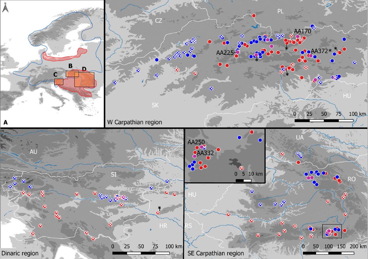 Emma J. Morgan tweet media