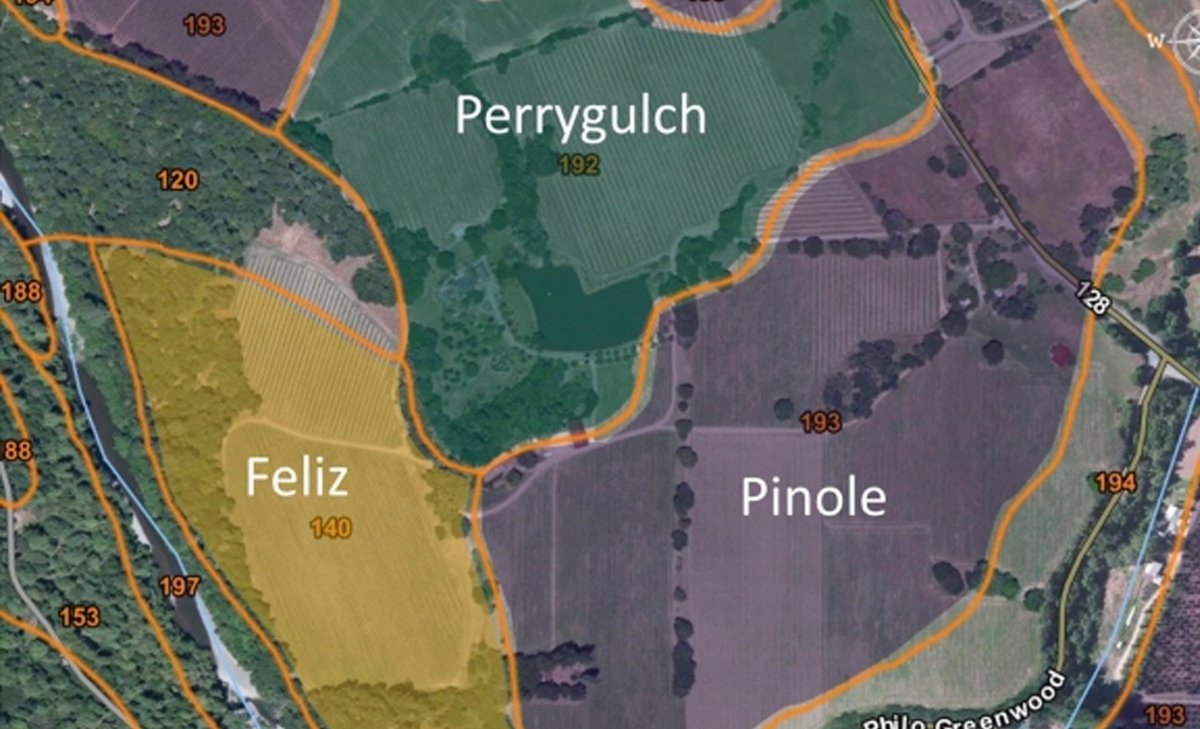 The rolling hills landscape of our Anderson Valley estate is rich with three distinct soil types that contribute to its unique terroir 🍃

Read our newest blog to learn more: bit.ly/LMR_AVTerrior

#andersonvalley #winelover #winemaking #wineindustry