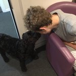 Photo by Ralph - Adventures of the School Dog (@ralph_school)