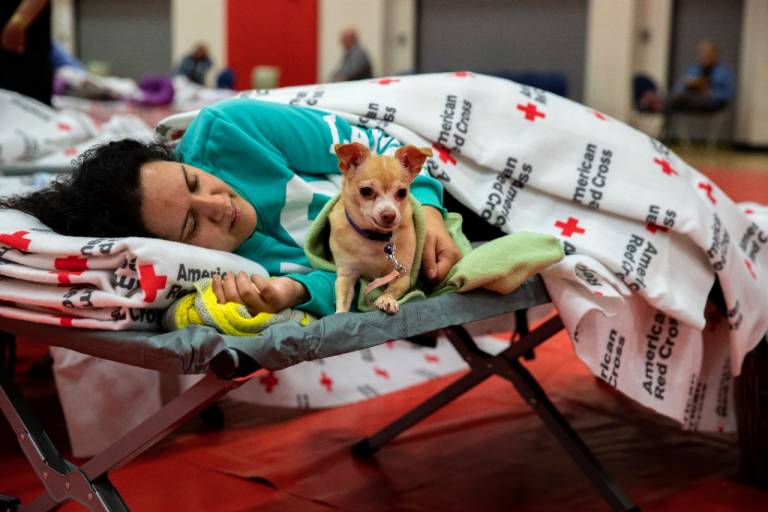 restperformance's tweet image. WESTERN WILDLIFE RELIEF

ReST is helping those in need by donating 10% of the net proceeds from each sale through 9/30 to the American Red Cross&apos;s Western Wildfire Relief efforts.

We&apos;re also offering $1000 off a ReST Bed through 9/30. 

restperformance.com/buy-now