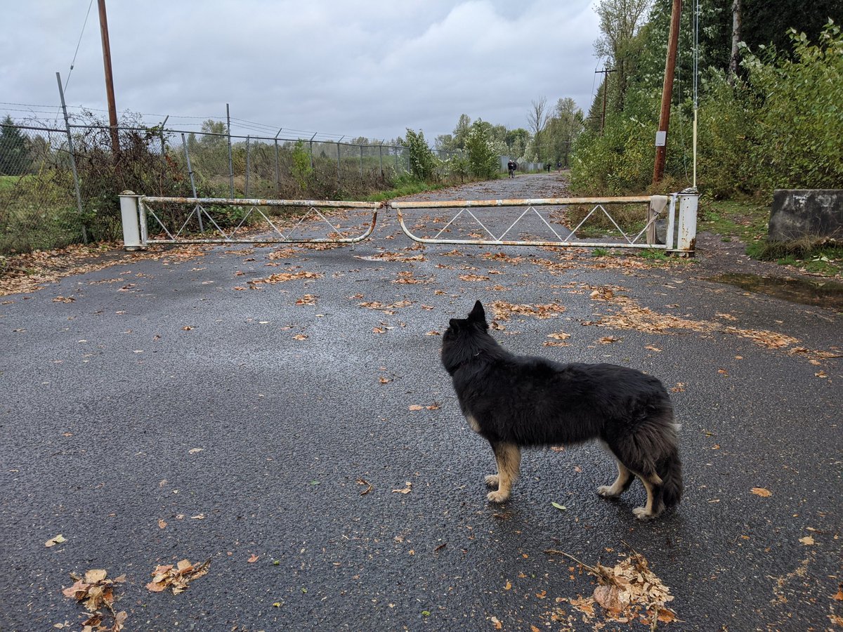 Here is a picture of the gate that will be the only way out of this kettle should the proud boys, say, pull up with a couple of trucks and block the road and set up interlocking fields of fire