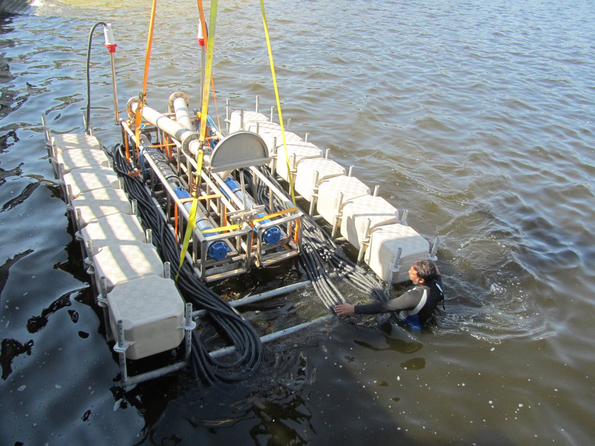CandockMexico's tweet photo. Nuestros sistemas modulares proporcionan estabilidad muelle con una alta capacidad de carga. Se pueden anclar a cualquier tipo de fondo marino, y a cualquier estructura. Con una superficie antideslizante y sin componentes metálicos en cada cubo flotante. https://t.co/fMdnYYjcbk
