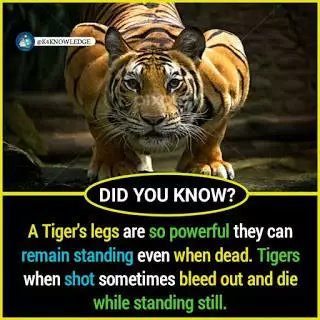 Are you bored? Owk you don't have to worry. kill ur boredom with these and educate your self also.  #HistoryVille A thread: