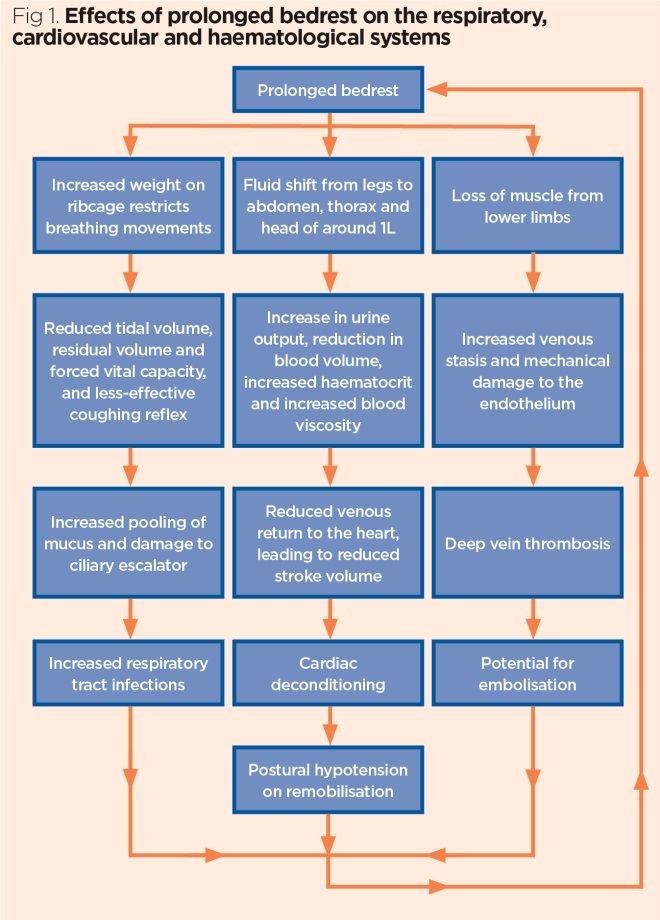 11/ Therefore, the knowledge that up to 30% of variations in total plasma volume can be attributed solely to lying down should certainly influence our posture and our reasoning during clinical evaluations.