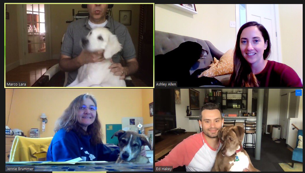 LifeAtVista's tweet photo. Sometimes you need to PAW-se the meeting to introduce your dogs. Happy Fall from some of our #cimpresstechnology team members and their furry coworkers!
#doglovers #technology #remotework #virtualcollaboration #happyfall https://t.co/S9BDpBako5