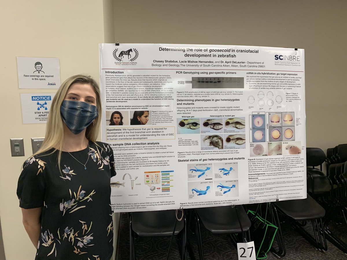 USC Aiken Psychology (USCAikenPsych) Twitter