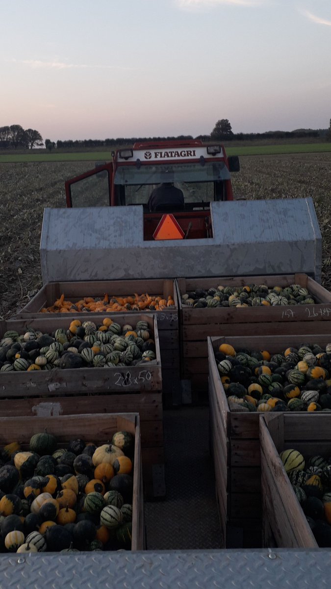 De oogst is binnen😃! - mailchi.mp/a9b1e47344fc/d…