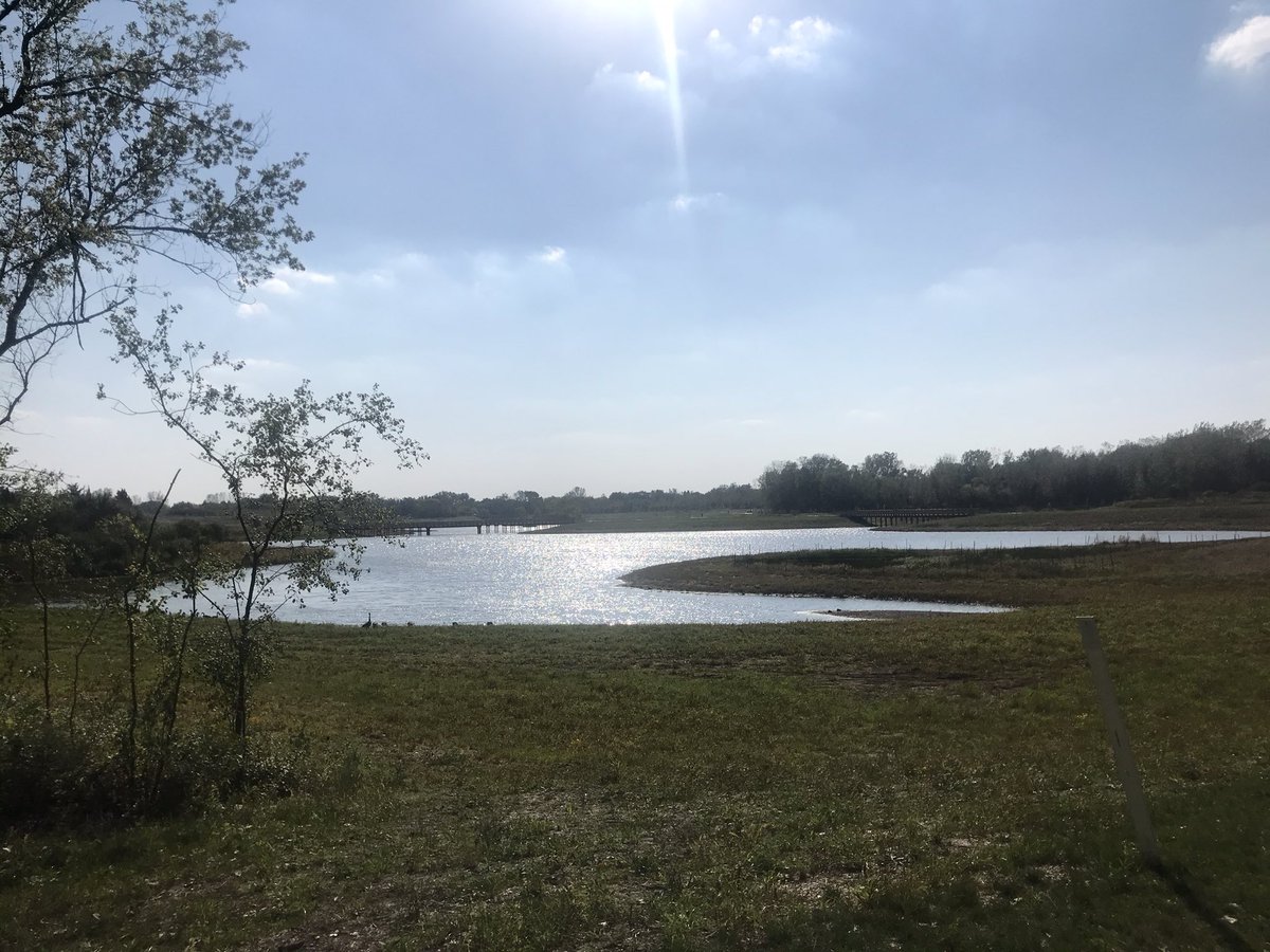 Summer wanted one more appearance today. 84 and sunny!! Rosie and I both welcomed it. Great afternoon walk. New forest preserve means new smells. #buffalocreekforestpreserve