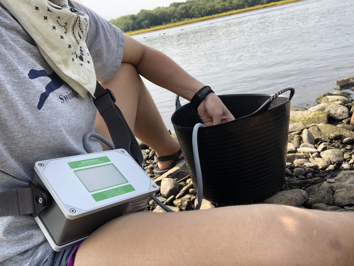 Patch_The_Medic's tweet image. tryin to sample a difficult filamentous algae (with diatoms)! this one was a lot harder to find good readings on, Fishing Creek was way better (which is weird?? Cuz its the Susquehanna...hmmm) #AlgaeTime #PAM