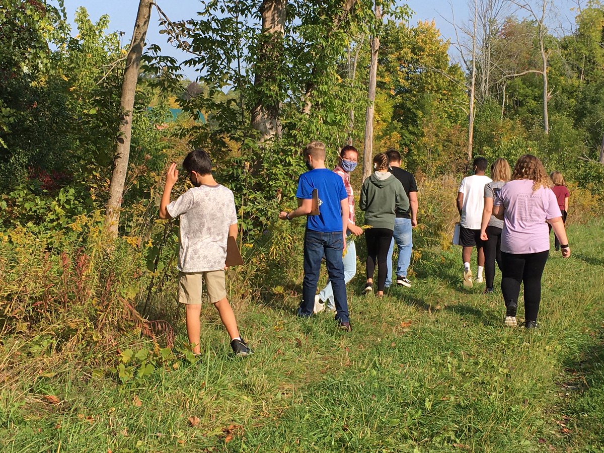 ARobScience's tweet image. My classroom for today. My Ss took goldenrod hall hunting very seriously! #MWOC #Pr1deinthePaw