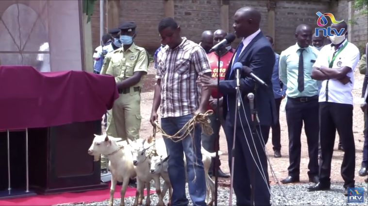 CJ Maraga rejects Senator Malala's gift in Kakamega

bit.ly/2HyJ7fp