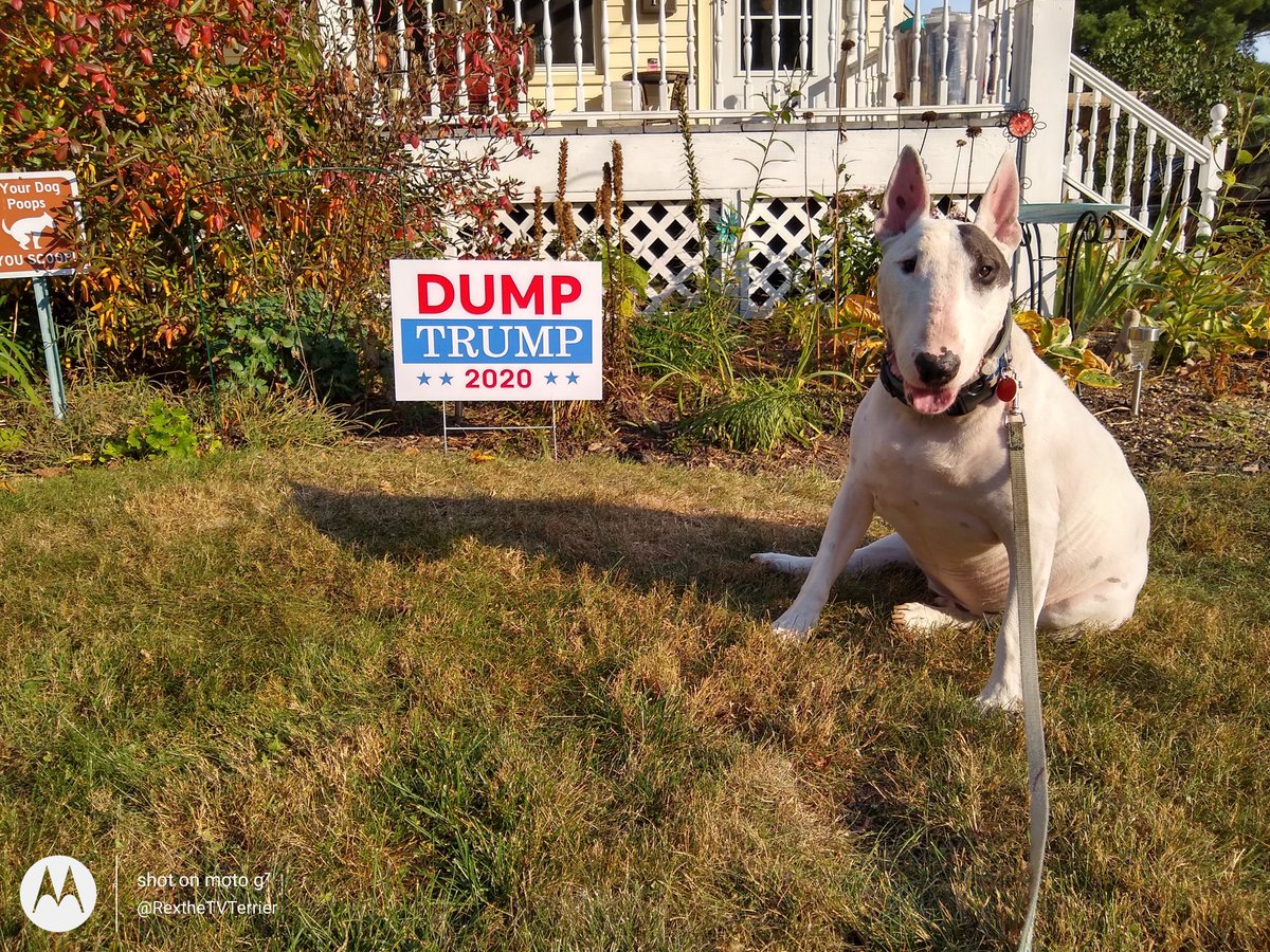 I love our new yard sign
#DumpTrump2020