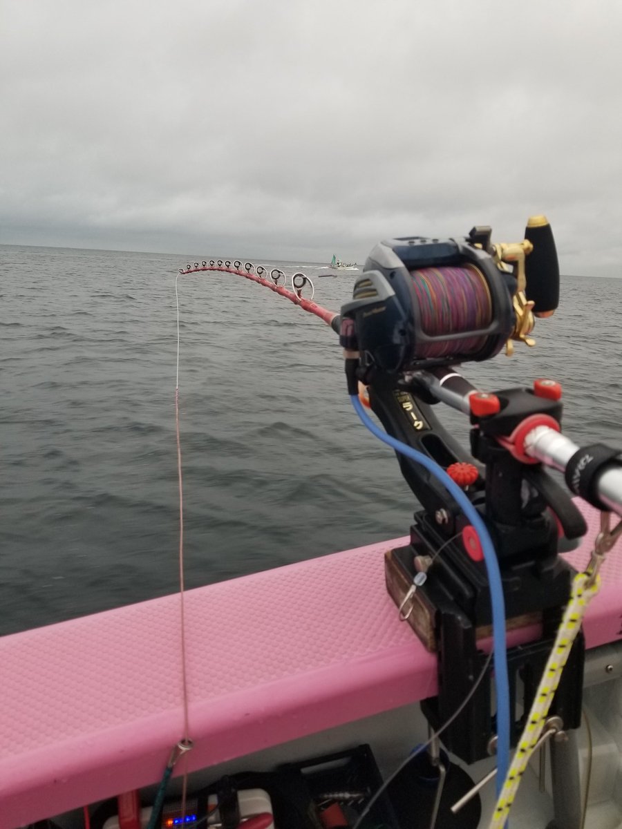 angler_macmos's tweet photo. キハダマグロ@茅ヶ崎
さあ、今週も参りましょう。
前回はサメに尻尾を食われ、トホホな結果に😢
鬱陶しい雨も上がり、いざ出船
リベンジいくぞー https://t.co/I7P1wpkwEz