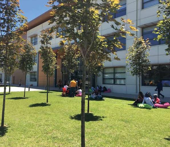 nocontextimu's tweet image. Ne hayallerle, ümitlerle
Üniversite okumaktı dileğimiz
Suçlu ne sensin ne de benim
Şimdi sensizim sen de bensiz 

ONLİNE DERSLERDE teselli bulunca
İşte biz o gün tükeneceğiz...