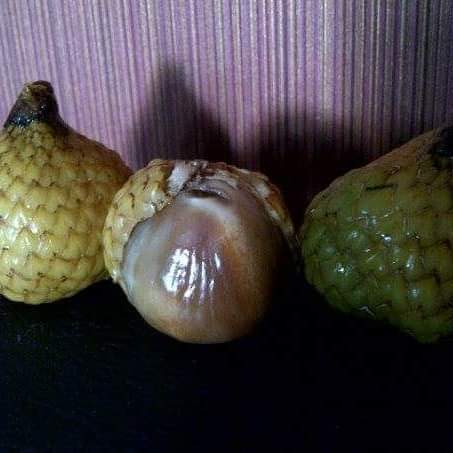 Maram/atapseng/atapson. I think this is one of the most sour fruit I have ever tasted in Kalimantan.