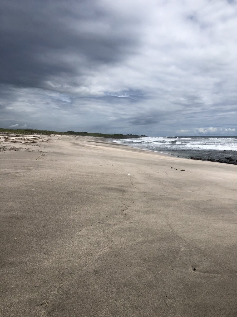 ISLA CARDON,CORINTO-CHINANDEGA🏝  #Nicaragua 🇳🇮

#2021OrgulloPatrio
#2021DignosYLibres
#2021PatriaBenditaYLibre
#ManaguaSandinista 

<a href="/taniasandinista/">TaniaSandinista</a> <a href="/TPU19J/">Tropa Digital Pablo Úbeda🇳🇮</a> <a href="/visitnicaragua/">Visit Nicaragua</a> <a href="/nica_rojaynegra/">La Sandinista (Mayita) 💛</a> <a href="/VivaNicaragua13/">Viva Nicaragua</a>