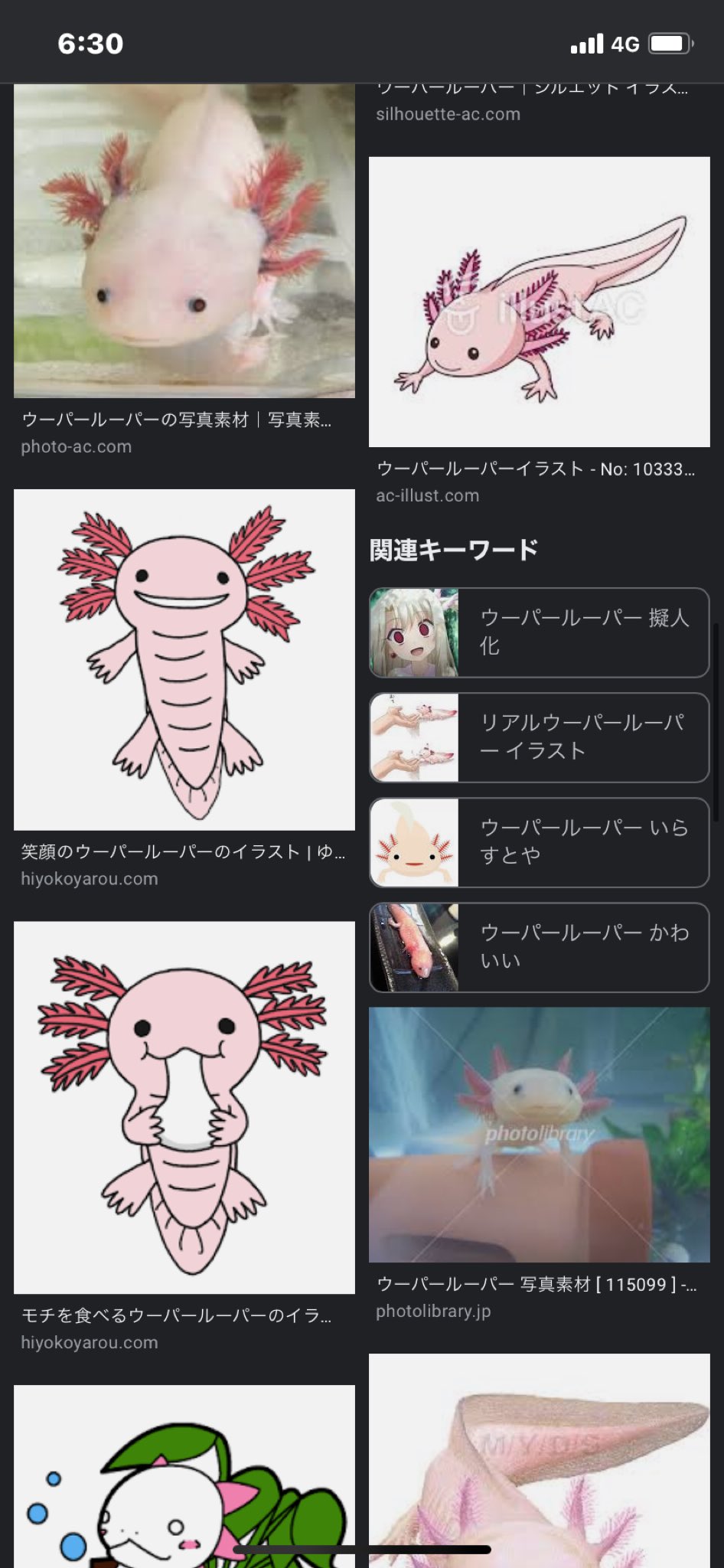 ジャン ウーパールーパーの画像検索してたら イリヤちゃんがウーパールーパーの擬人化キャラみたいになっててワロタ Fgo T Co Baanamnk1p Twitter