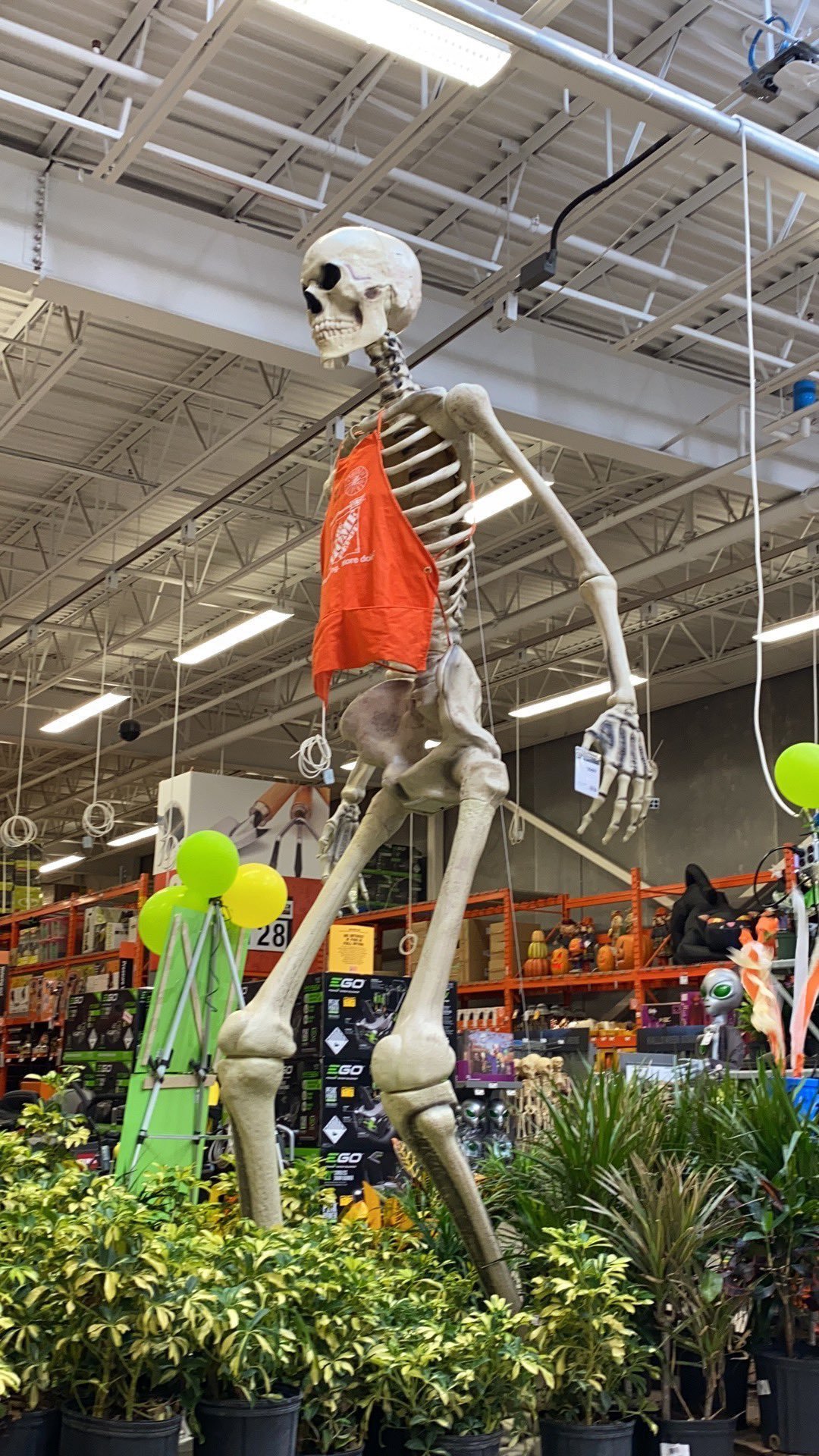K Mpany On Tour On Twitter I Will Do Whatever It Takes To Acquire The Giant Home Depot Skeleton Https T Co Cq3tiuqdtq Twitter