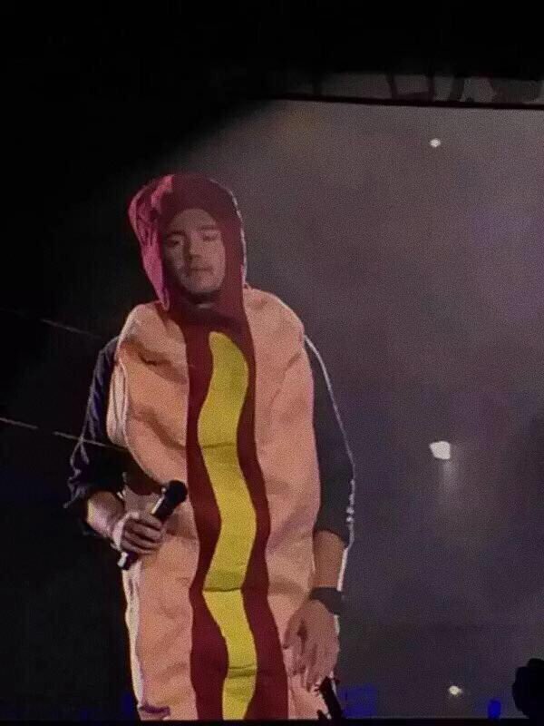 13. a hot dog