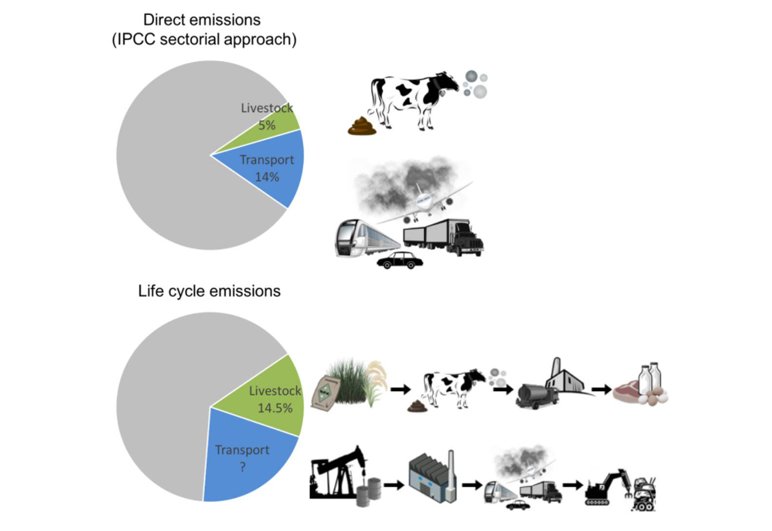 With livestock this means – land use, on-farm activities, processing, transportation, packaging, etc – EVERYTHING. Here’s where the problem lies with the Greenpeace claims: The group used LCA for livestock but did not use the same method to calculate emissions for cars. 5/
