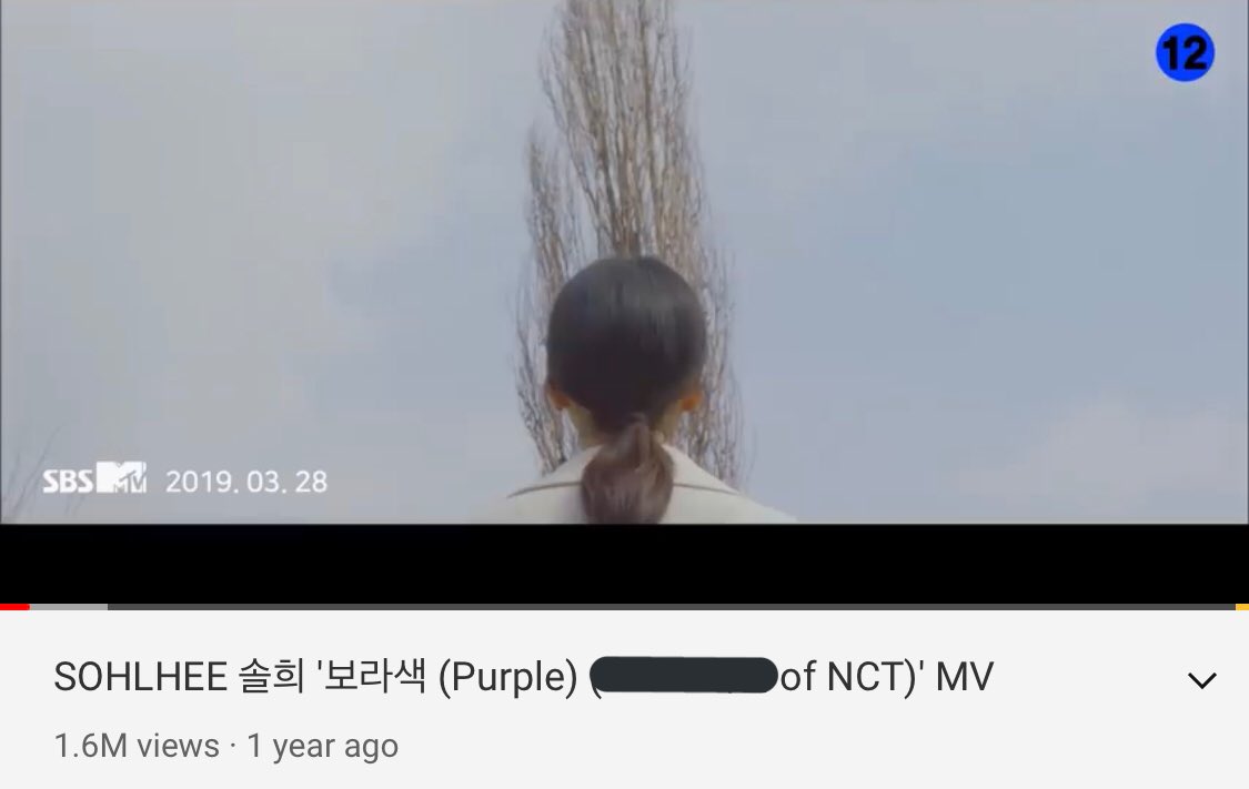 which member of nct collabed with sohlhee in purple?