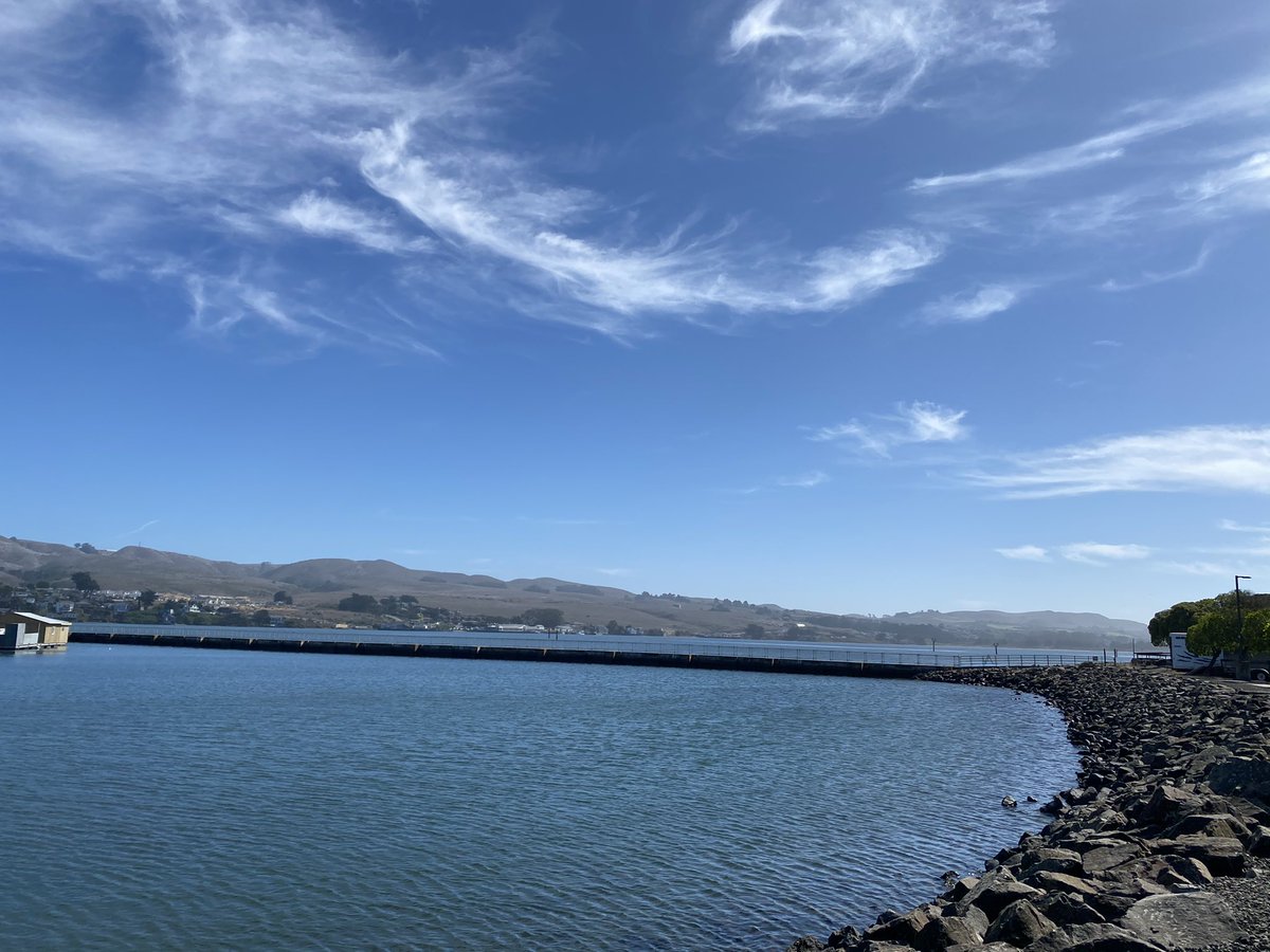 pantone165's tweet image. Oysters and chowdah #BodegaBay