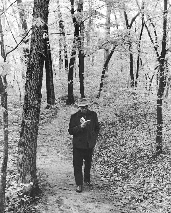 LiterateIndy's tweet image. #ScreenFreeWeekend