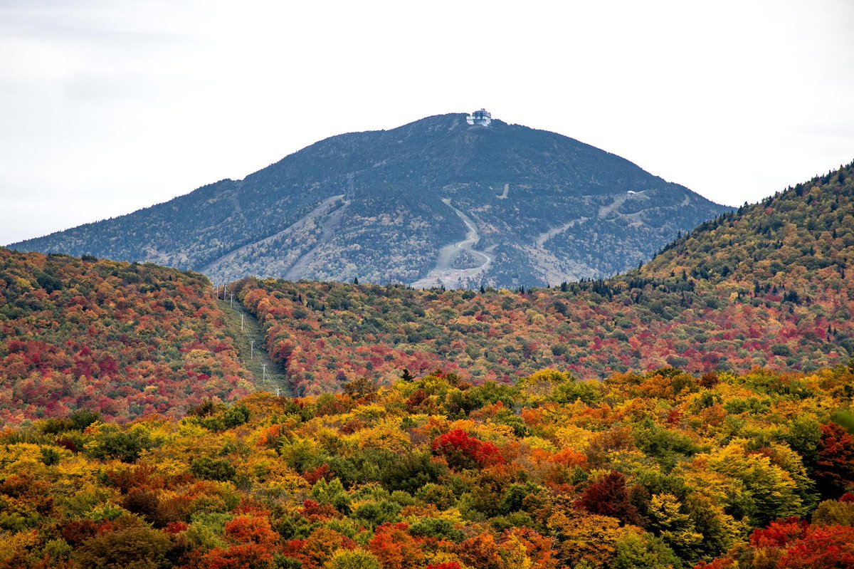 jaypeakresort's tweet photo. The foliage is coming in hawt, but the Tram needs a little more time to get back on track. It won't run this weekend, while our Lift Ops crew hustles to get it going again. https://t.co/X5M95yVEU6