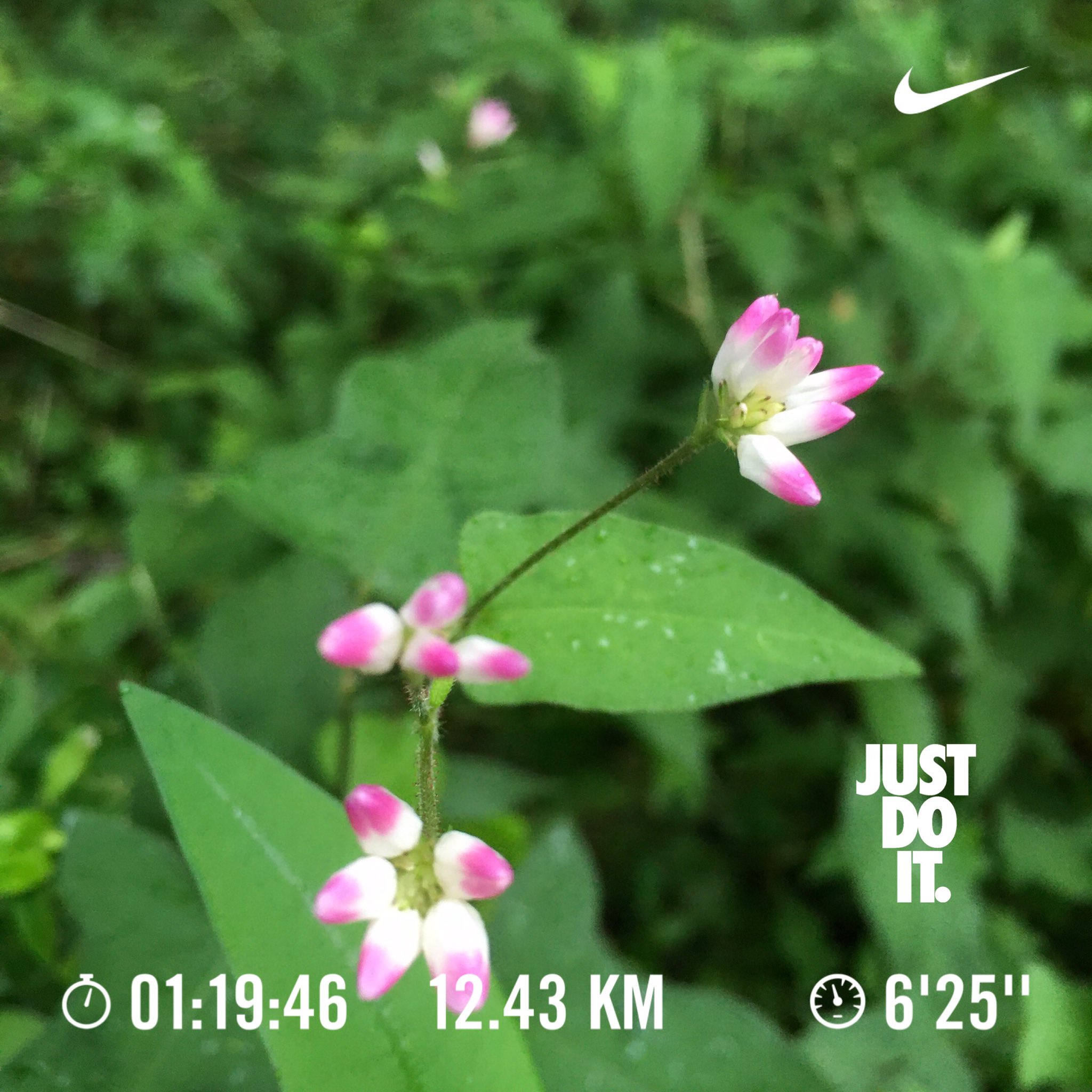 創走漕まこと Have A Nice Day Amp Nice Running Today S 12 4km Sep S 370 3km Today S 小山内裏公園 Machida Tokyo Nrc Justdoit Nikeplus Run 朝ラン ランニング Runner 多摩センター駅 アート