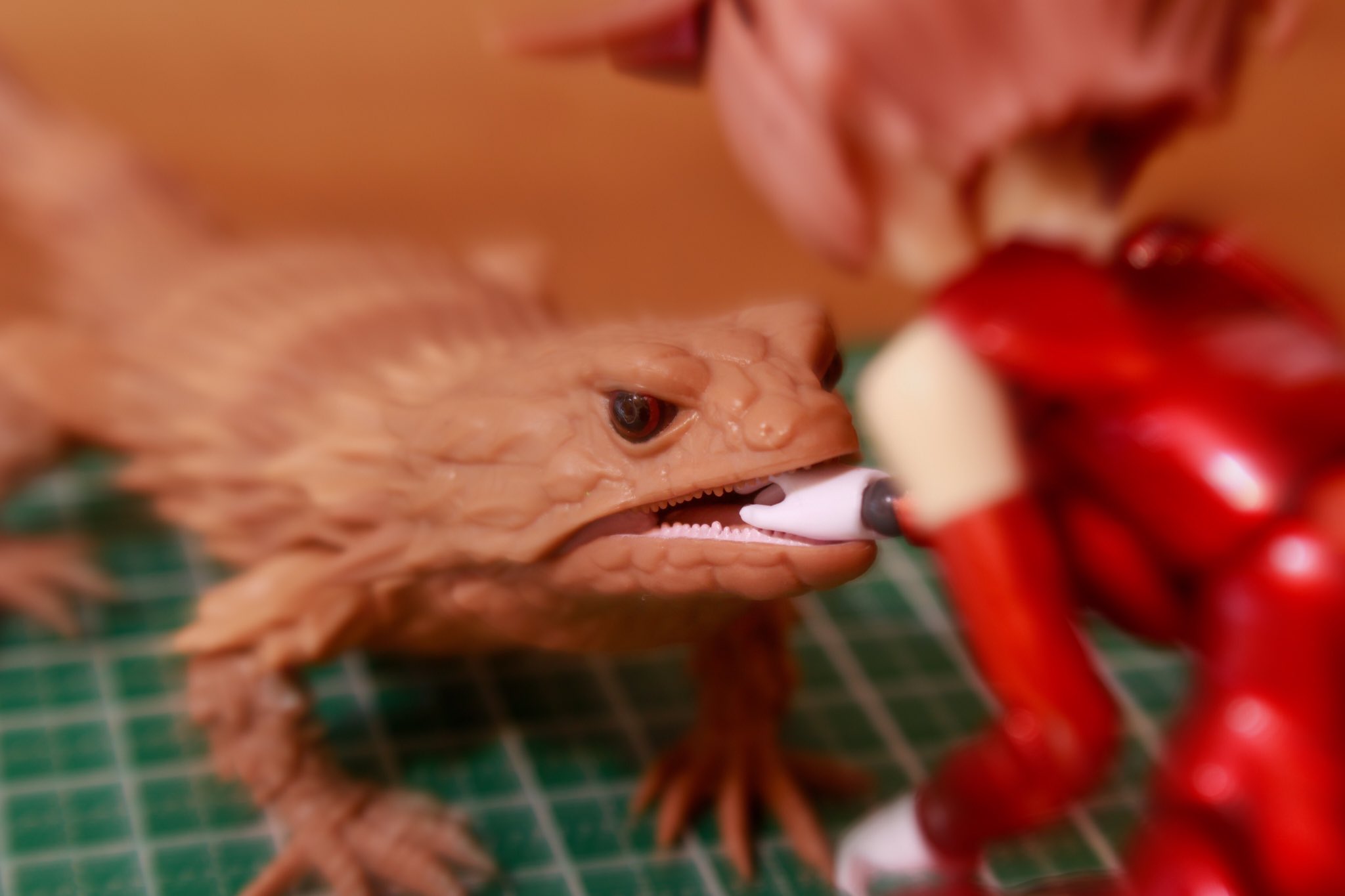 おさかな アルマジロトカゲかわいい おさかな アルマジロトカゲかわいい