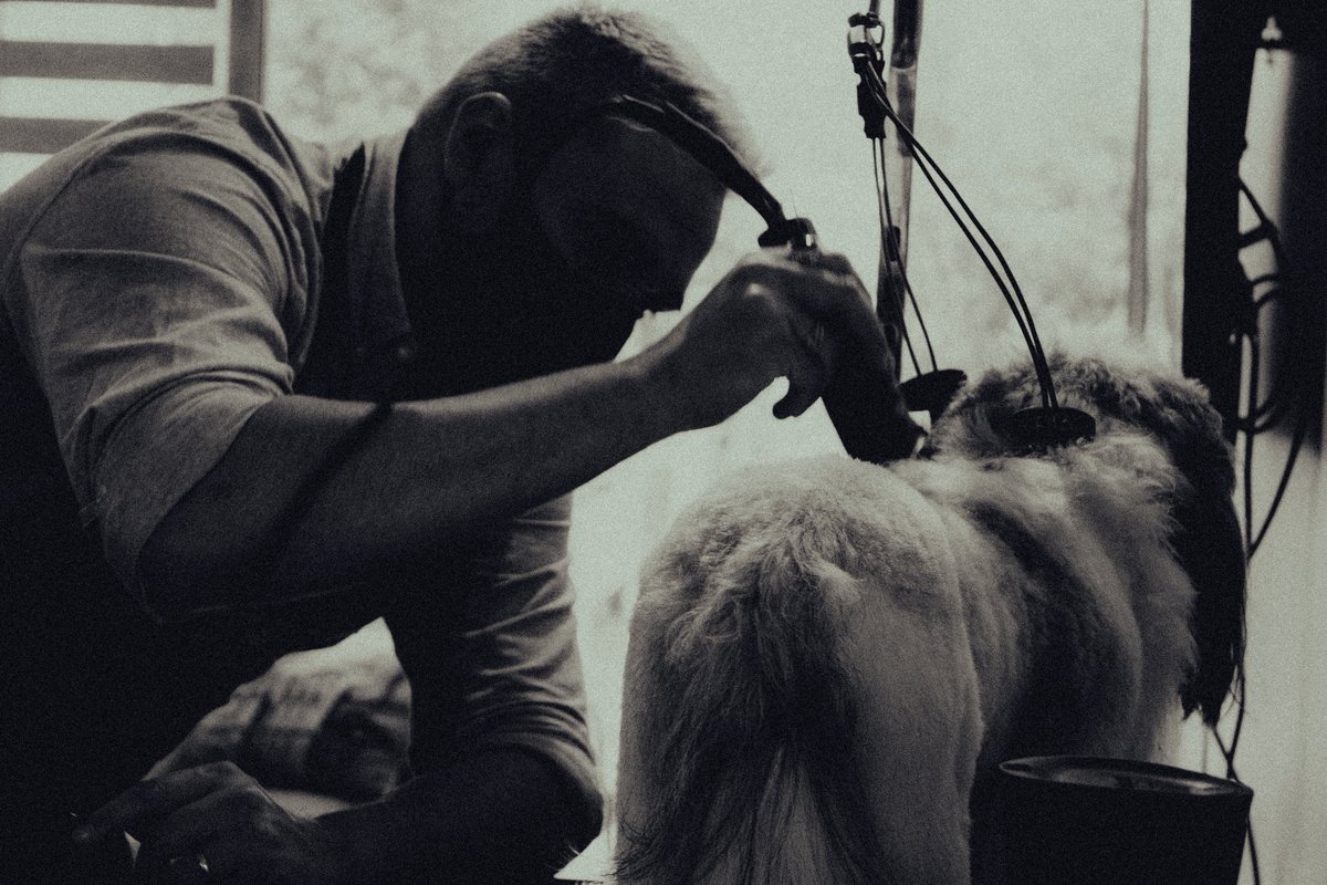 "The gift of photography". Hoy un cliente me tomó unas fotos mientras atendía a su perrito. Luego me pasó los archivos RAW para que los editara. Fue un lindo gesto. Si ves este tweet bro, mil gracias!