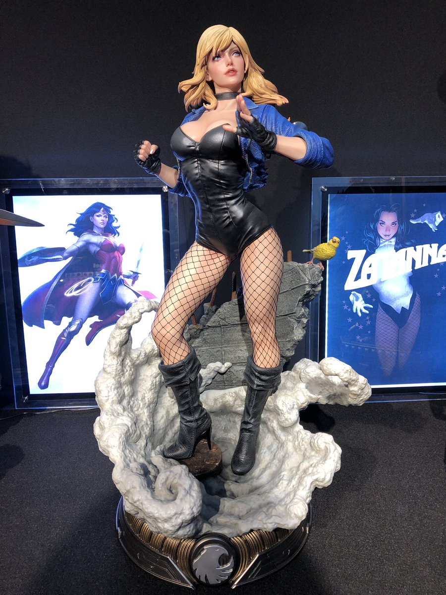 Yuri2300 Rebirth ワンダーウーマン 隣にブラックカナリー Yuri2300 Rebirth ワンダーウーマン 隣にブラックカナリー