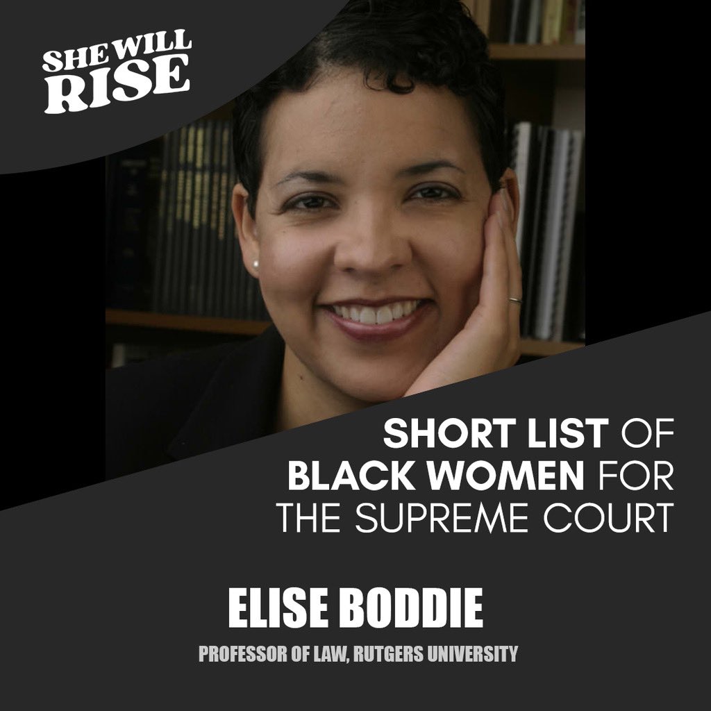 Elise Boddie ( @eliseboddie) is a Professor of Law at  @RutgersU. She is a nationally-recognized expert in civil rights and award-winning legal scholar, previously served as director of litigation for the NAACP Legal Defense & Educational Fund.  #SheWillRise