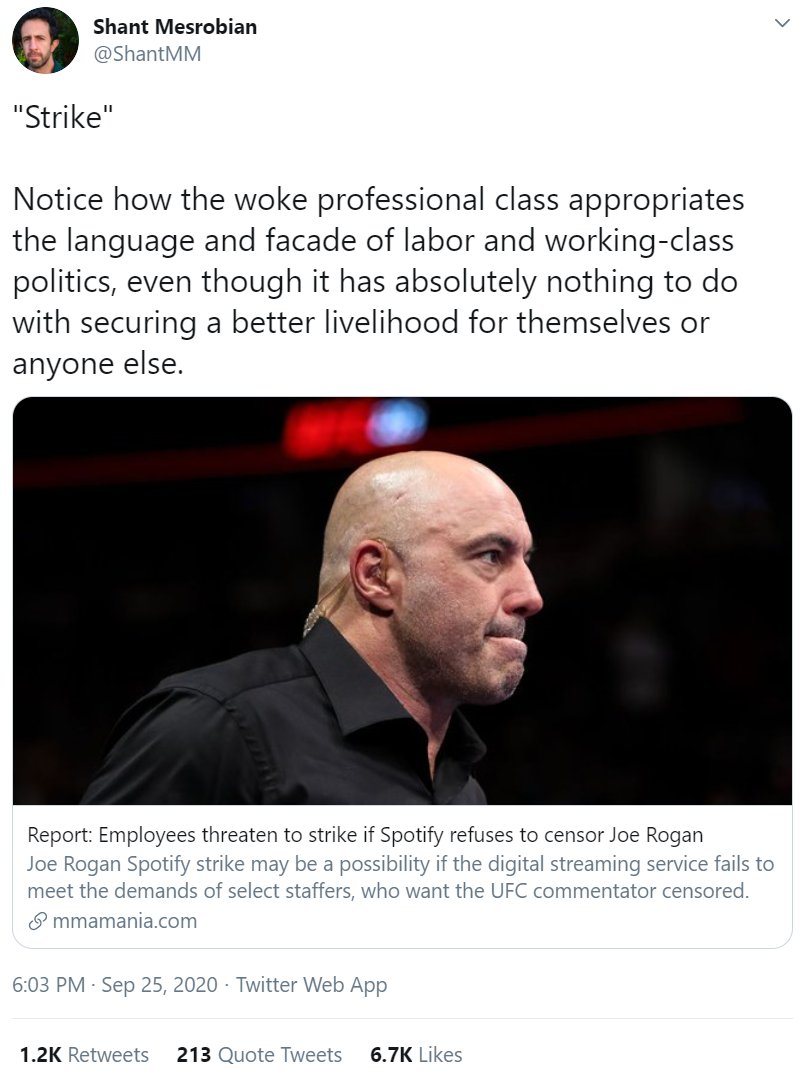 notice how the anti-"woke" professional class appropriates the language and facade of labor and working-class politics to shit on strikes, even though they're new republic think tank creeps larping as salt of the earth proletarian whisperers to advance their own class interests