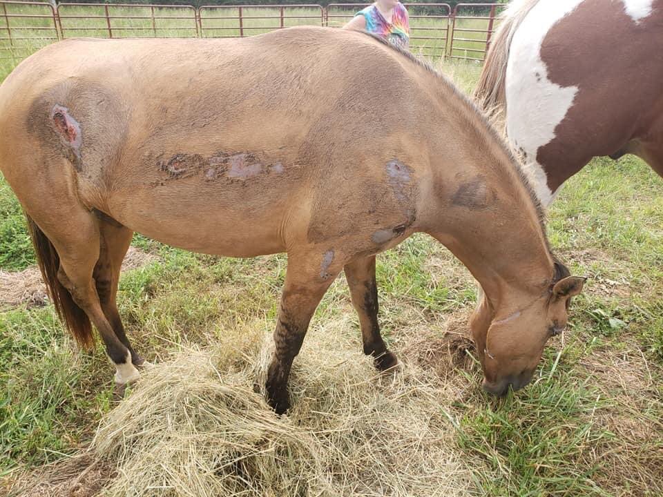 Russell Kinsaul tweet media