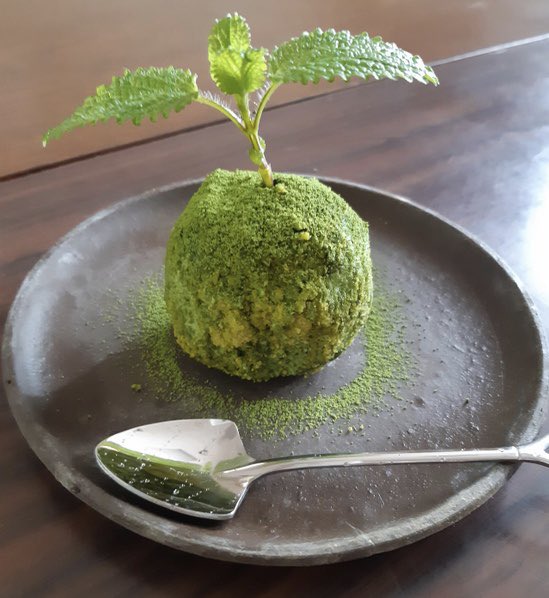 栃ナビ 鹿沼市花木センターに 盆栽 カフェ がオープンしたそうですよ 季節の山野草などが飾られた店内でいただくのは 写真 のようなイカした 苔玉スイーツ などシャレオツなメニュー これは 鹿沼の人気スポットになりそう T Co 栃ナビ 鹿沼市花木センターに 盆栽 カフェ がオープンしたそうですよ 季節の山野草などが飾られた店内でいただくのは 写真 のようなイカした 苔玉スイーツ などシャレオツなメニュー これは 鹿沼の人気スポットになりそう T Co
