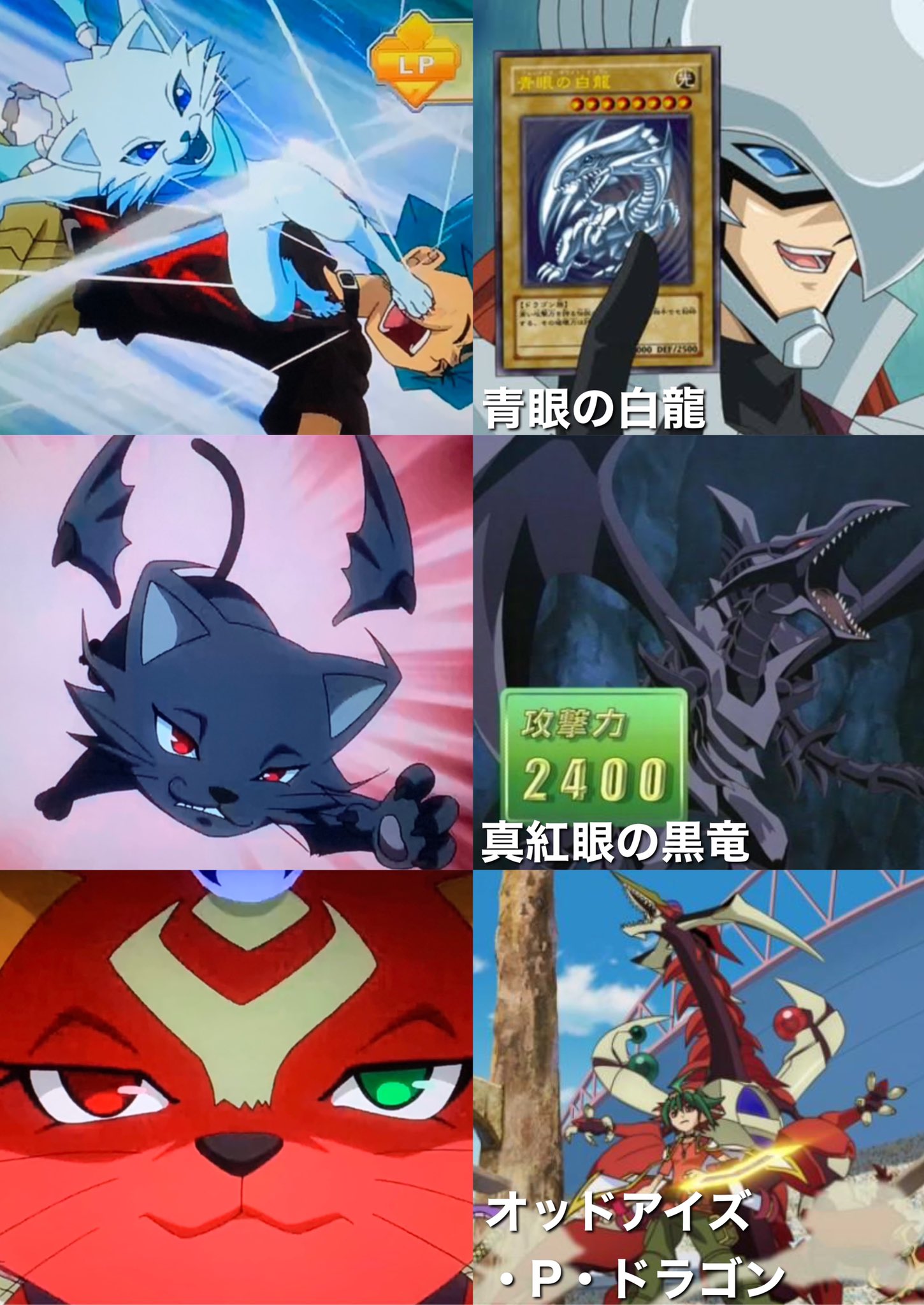 蓮 投票 ヴ見て さにわデュエリスト בטוויטר ブルーアイズホワイトキャットと レッドアイズブラックキャット オッドアイズキャット Sevens 蓮 投票 ヴ見て さにわデュエリスト בטוויטר ブルーアイズホワイトキャットと レッドアイズブラックキャット オッドアイズキャット Sevens